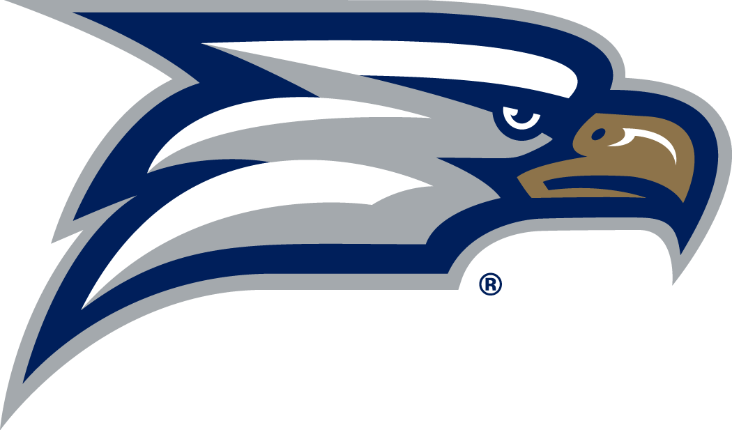 Georgia Southern Eagles 2010-Pres Secondary Logo iron on transfers for T-shirts